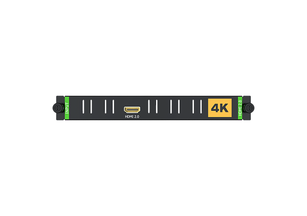 Входная слот карта 1*HDMI